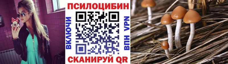 Галлюциногенные грибы MAGIC MUSHROOMS  Радужный 